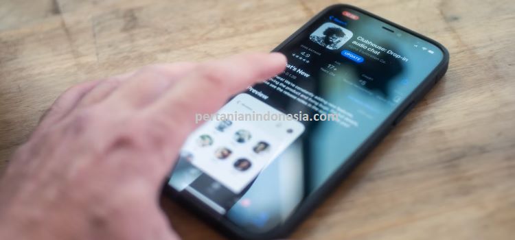 E Commerce, E-Commerce, Toko Online, E Commerce Adalah, Pertanian Indonesia, Olshop